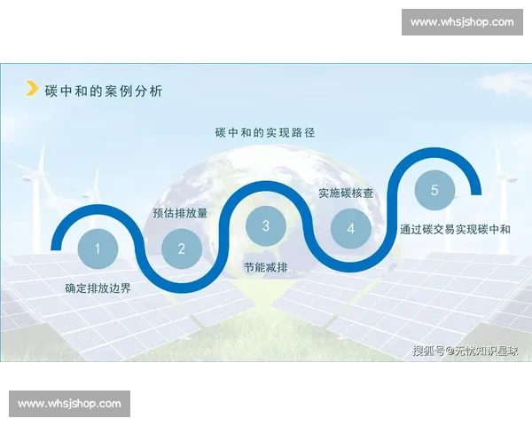 创新机制驱动下的企业转型与可持续发展路径探索