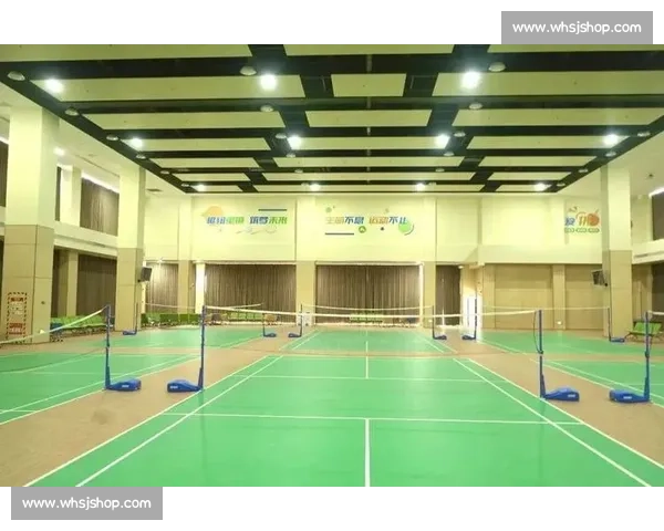 露天场馆引领城市文体新活力打造全民共享休闲娱乐融合空间新典范